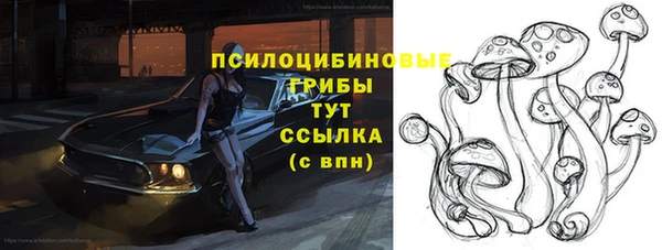 СК Балахна