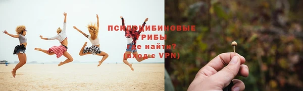СК Балахна