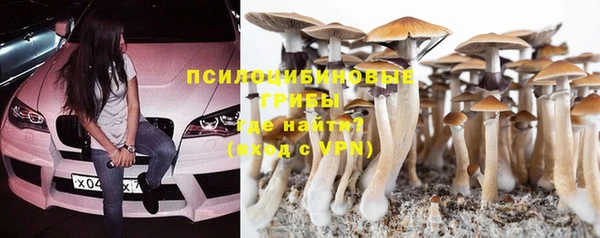 СК Балахна